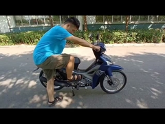 Das Aussehen des CUB-Autos wird in alle Richtungen angezeigt!